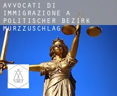 Avvocati di immigrazione a Politischer Bezirk Mürzzuschlag