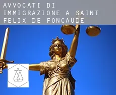 Avvocati di immigrazione a  Saint-Félix-de-Foncaude