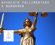 Avvocato fallimentare a Bundoran
