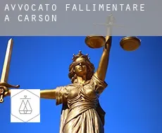Avvocato fallimentare a Carson