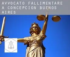 Avvocato fallimentare a Concepción de Buenos Aires