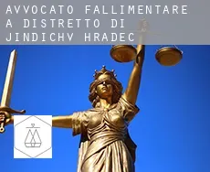 Avvocato fallimentare a  Distretto di Jindřichův Hradec
