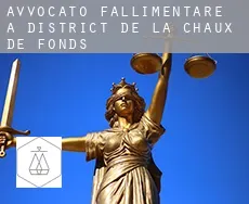 Avvocato fallimentare a District de la Chaux-de-Fonds