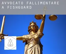 Avvocato fallimentare a Fishguard