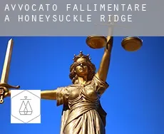 Avvocato fallimentare a  Honeysuckle Ridge