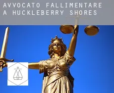 Avvocato fallimentare a  Huckleberry Shores