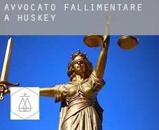 Avvocato fallimentare a  Huskey