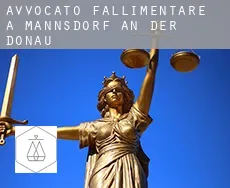 Avvocato fallimentare a Mannsdorf an der Donau