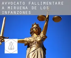 Avvocato fallimentare a Mirueña de los Infanzones