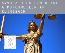 Avvocato fallimentare a  Münchweiler am Klingbach