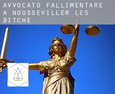 Avvocato fallimentare a  Nousseviller-lès-Bitche