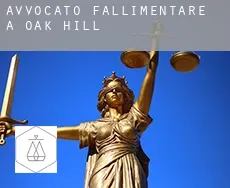 Avvocato fallimentare a  Oak Hill