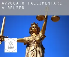 Avvocato fallimentare a Reuben