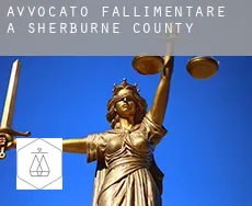 Avvocato fallimentare a  Sherburne County