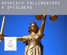 Avvocato fallimentare a  Spielberg