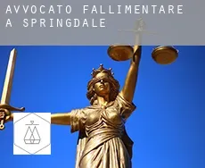 Avvocato fallimentare a  Springdale