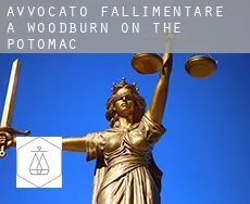 Avvocato fallimentare a  Woodburn on the Potomac