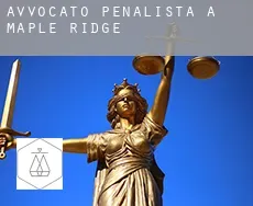 Avvocato penalista a  Maple Ridge