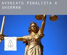 Avvocato penalista a  Sherman