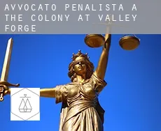 Avvocato penalista a  The Colony at Valley Forge