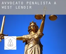 Avvocato penalista a  West Lenoir