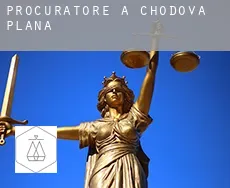 Procuratore a  Chodová Planá