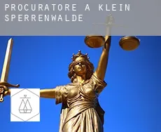 Procuratore a  Klein Sperrenwalde