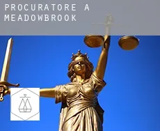 Procuratore a  Meadowbrook