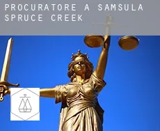 Procuratore a  Samsula-Spruce Creek