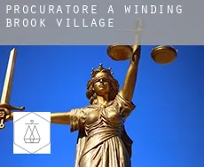 Procuratore a  Winding Brook Village