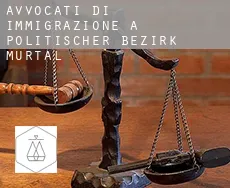 Avvocati di immigrazione a Politischer Bezirk Murtal