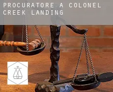 Procuratore a  Colonel Creek Landing