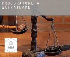 Procuratore a  Walkringen