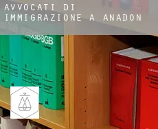 Avvocati di immigrazione a  Anadón