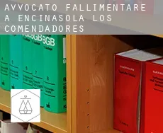 Avvocato fallimentare a  Encinasola de los Comendadores
