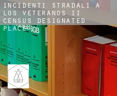 Incidenti stradali a  Los Veteranos II