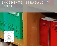 Incidenti stradali a  Posof