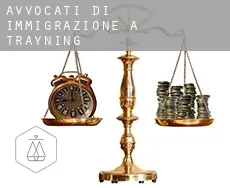 Avvocati di immigrazione a  Trayning