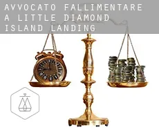 Avvocato fallimentare a  Little Diamond Island Landing
