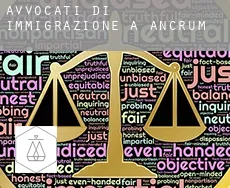 Avvocati di immigrazione a  Ancrum