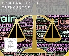 Procuratore a Třemošnice