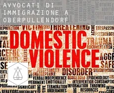 Avvocati di immigrazione a Politischer Bezirk Oberpullendorf