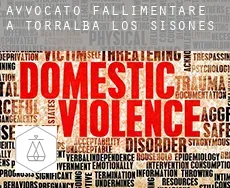 Avvocato fallimentare a  Torralba de los Sisones