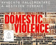 Avvocato fallimentare a  Westview Terrace