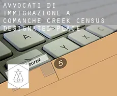 Avvocati di immigrazione a  Comanche Creek