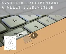 Avvocato fallimentare a  Wells Subdivision