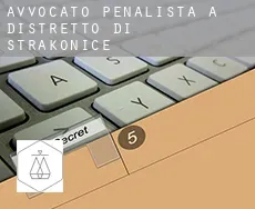 Avvocato penalista a  Distretto di Strakonice