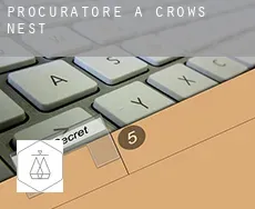Procuratore a  Crows Nest