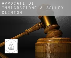 Avvocati di immigrazione a  Ashley Clinton