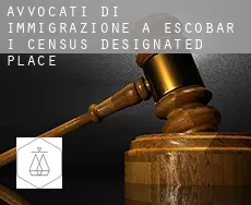 Avvocati di immigrazione a  Escobar I